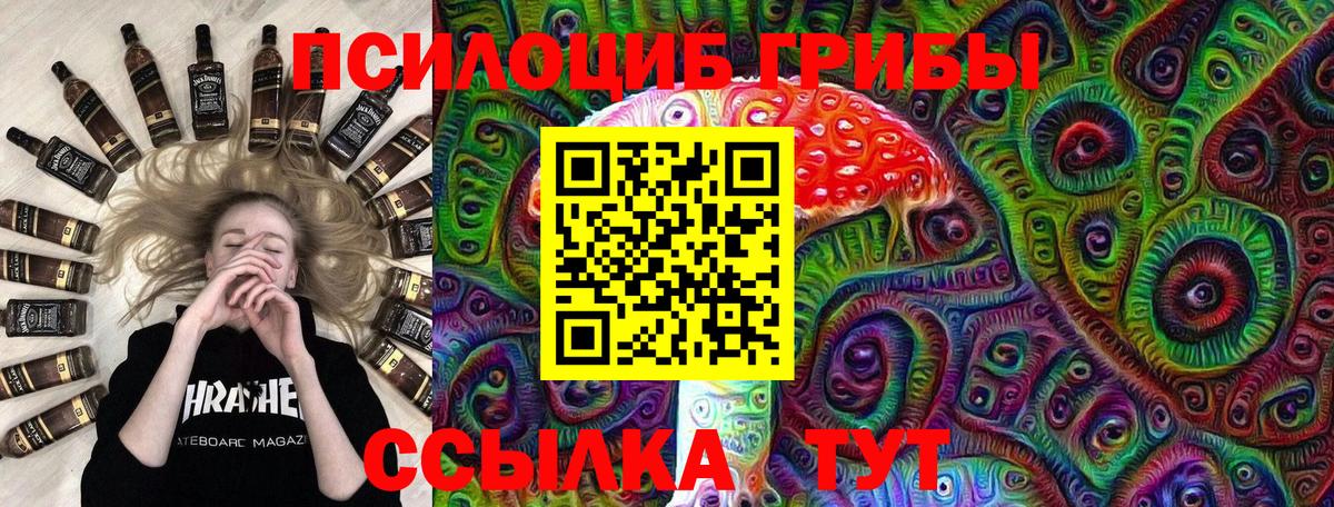 Псилоцибиновые грибы Cubensis Звенигород